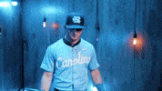 University Of North Carolina Baseball GIF by UNC Tar Heels