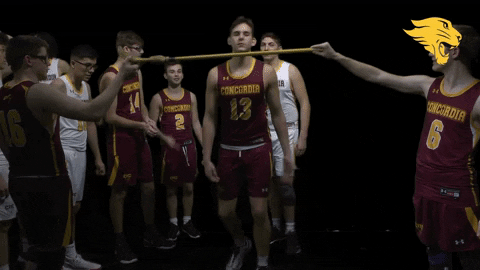 Cuc GIF by CUCougars