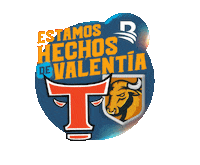 Pelota Invernal Sticker by Banreservas