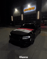 Celebrating Middle East GIF
