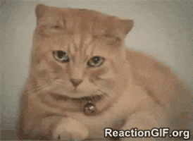 upset GIF