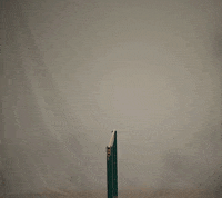 Bsu GIF by Bemidji State Beavers