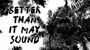 Palm Tree Sound GIF by Four Rest Films