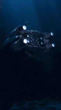 Collectibles GIF by Youtooz
