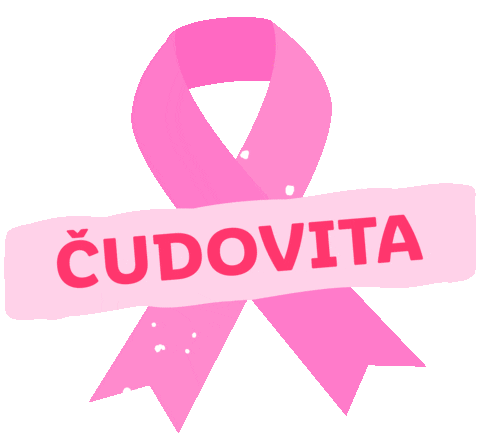 Pink October Sticker by Lidl Slovenija