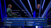 Wwtbams8E2 GIF by Stellify Media
