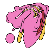 Art Morph Sticker