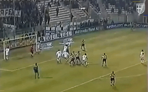 GIF by Parma Calcio 1913