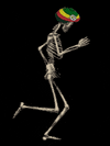 rasta GIF