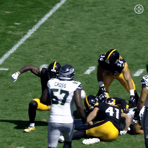Celebration Nfl GIF by Pittsburgh Steelers