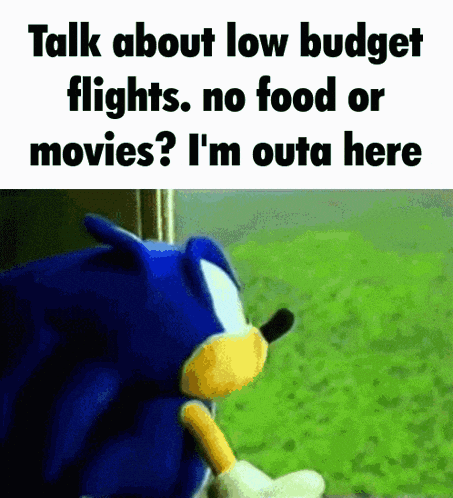 Sonic The Hedgehog Flight GIF