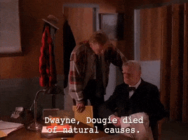 season 2 GIF by Twin Peaks on Showtime