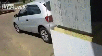 car man GIF