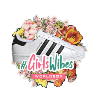 Spring Collection Sticker by Warsaw Sneaker Store