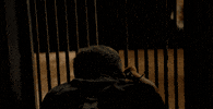 posing public broadcasting service GIF by PBS