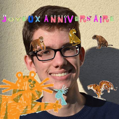 nathancocquempot giphygifmaker giphyattribution GIF