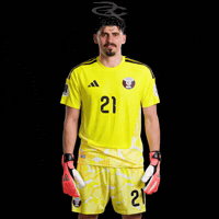 Fifa World Cup Qatar GIF by Respective
