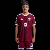Fifa World Cup Qatar GIF by Respective
