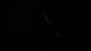 Legendary GIF by tjhoban