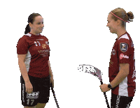 Floorball Salibandy Sticker by F-liiga