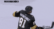 nhl sports celebrate hockey nhl GIF