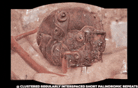 Satisfying American GIF by Alex Boya