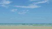 daytona beach travel GIF