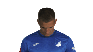 Look Up Tsg Hoffenheim Sticker by Bundesliga