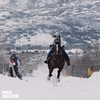 proskijor skiing wintersports skijoring skijoringutah GIF