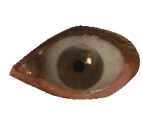 House Music Dancing Sticker by Island Records UK