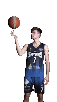 LagunaSharks sport basketball 7 romania Sticker