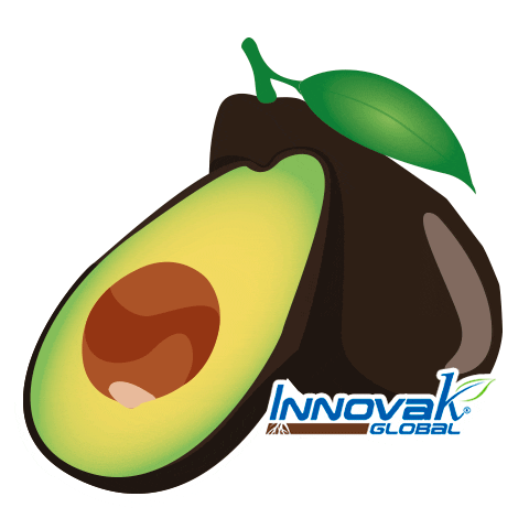 Food Avocado Sticker by Innovak Global