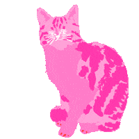 Cat Heart Sticker