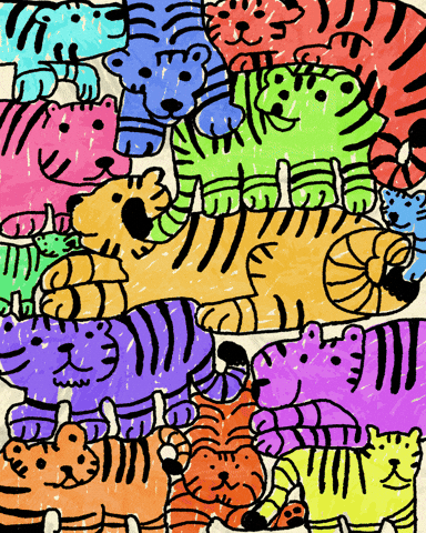 Big Cat Rainbow GIF