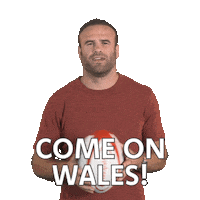 Jamie Roberts Reaction Sticker by PrincipalityBS