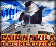 Seria A Santos Fc GIF
