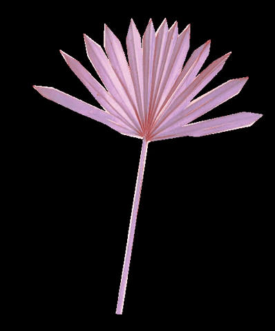 flowerbodega giphygifmaker flower tropical palm GIF