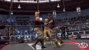 luchalibreaaa  GIF