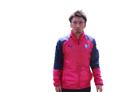 Cerezo Sticker by セレッソ大阪