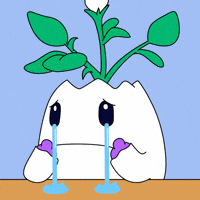 Sad Its Fine GIF by Magic Eden