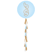 Baby Boy Sticker by Bubblegum Balloons