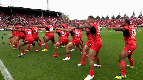 World Cup Sport GIF by NRL