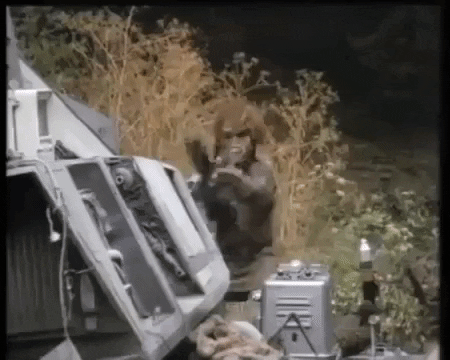 battle for endor wicket GIF by mdleone