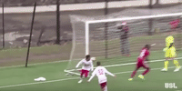 new york red bulls goal celebration GIF by NYRB II