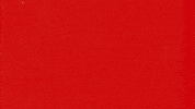 Con Mucho Acento GIF by Cruzcampo