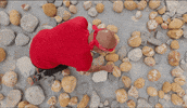 The Amazing Race Rocks GIF by CBS