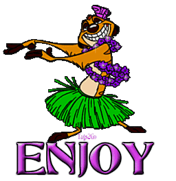 enjoy STICKER