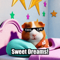 Sweet Dreams Sleep GIF by Guinea Gambino