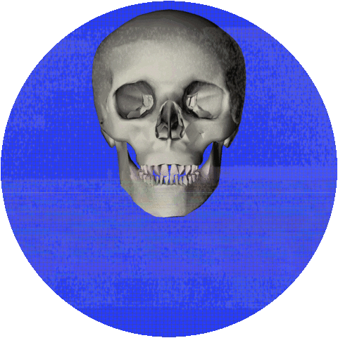 Halloween Fall Sticker by UCLA
