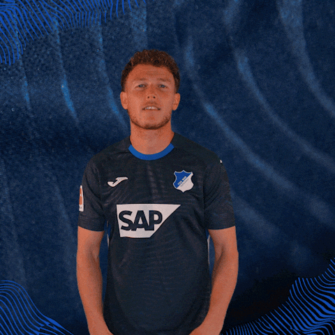 Sport Bundesliga GIF by TSG Hoffenheim